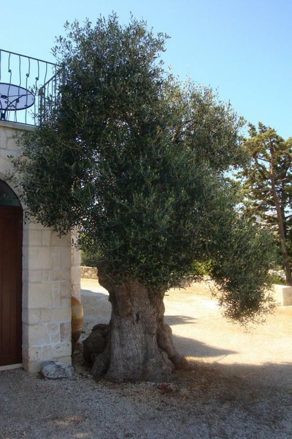 Rocca Giulia Ostuni Exterior foto